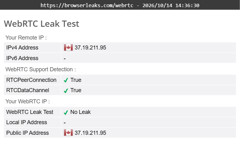 Surfshark's WebRTC leak test results (pass)