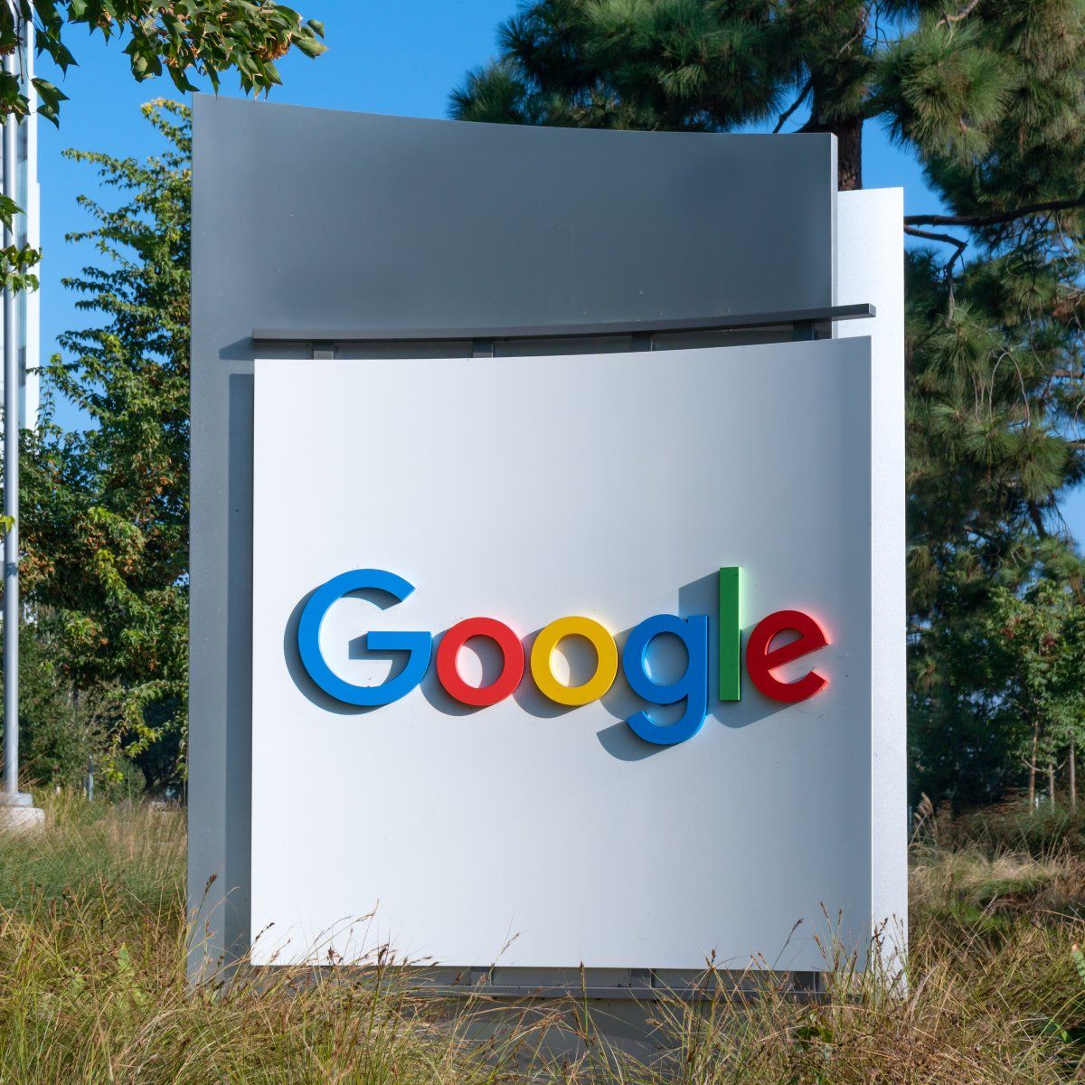 Google Exposed Sex Abuse Takedown Requests Publicly, Including Victims' Names and Phone Numbers